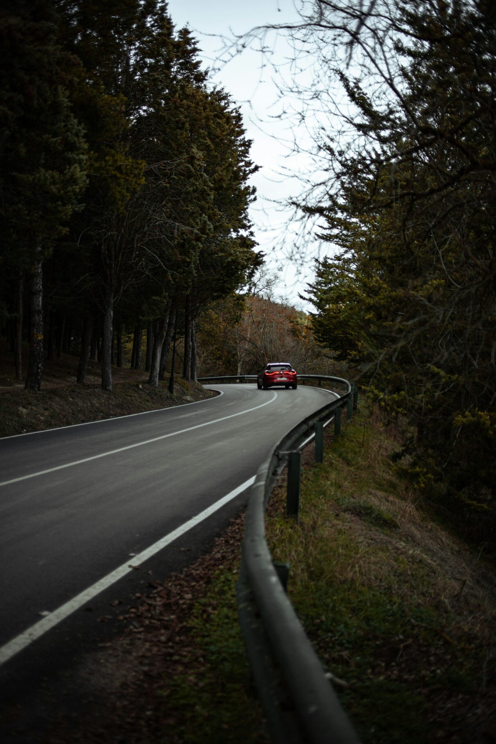 Scenic Road Trips in the Basque Country for Food Lovers